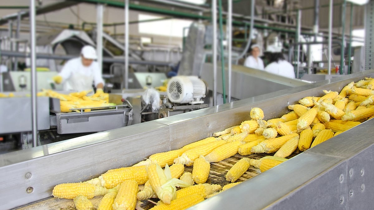 Canada’s Food Production Sector Suffering Because Of Foreign Worker Reforms