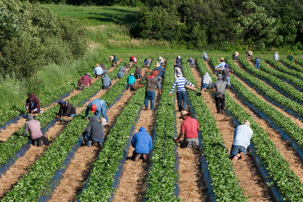 A Fresh Pathway for Foreign Workers in Canada with the New Rural Community Immigration Pilot (RCIP)